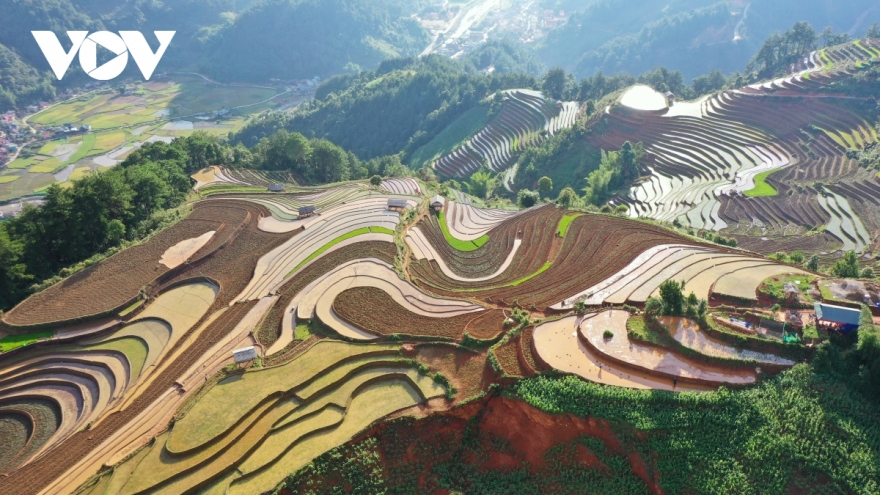 Stunning beauty of Mu Cang Chai terraced fields